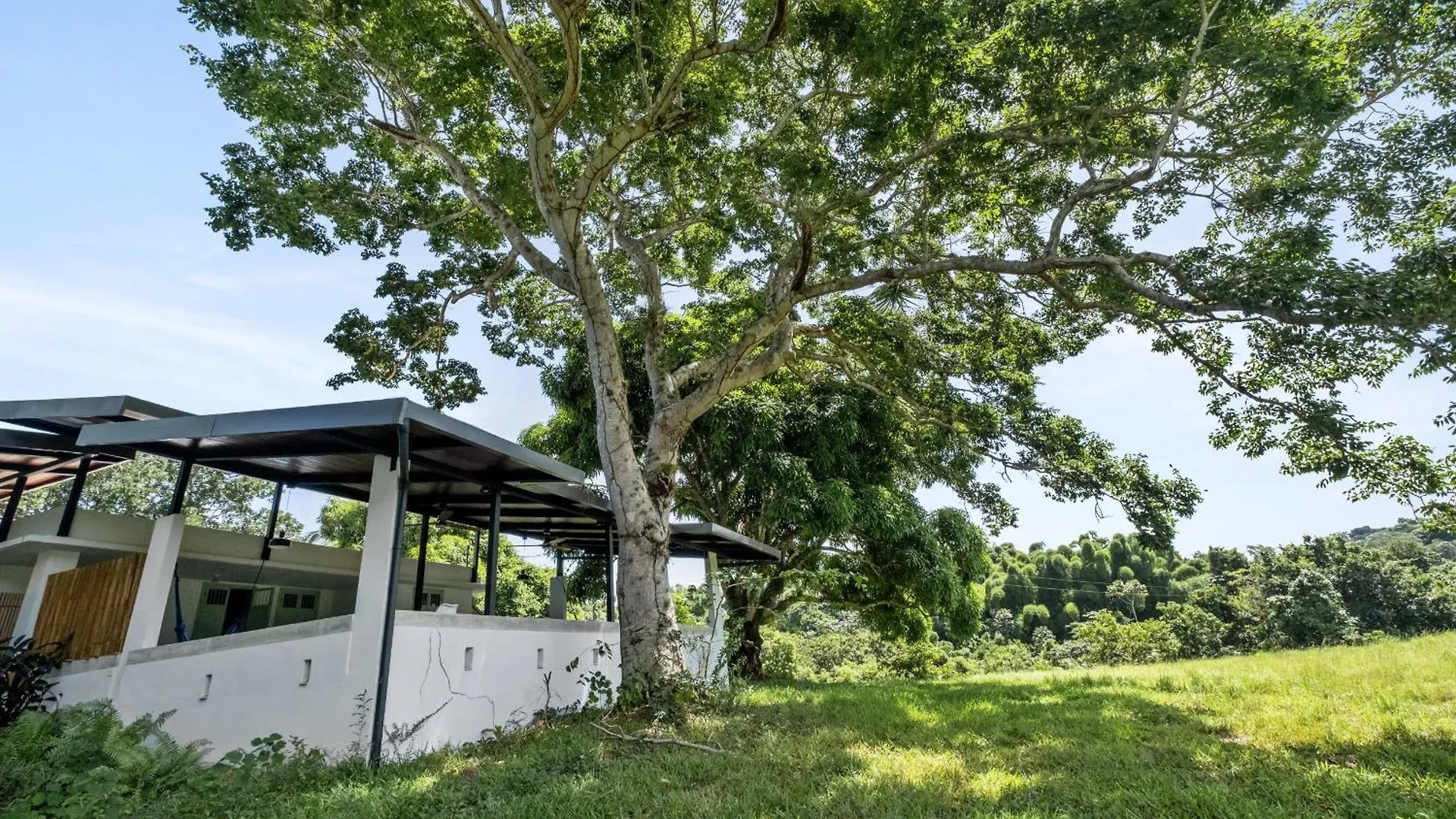 Casa Algarrobo Relaxing Farm Stay In Puerto Rico Ciales 0*,  푸에르토리코